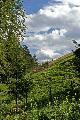 nahe Hausstein bei Frankenfels, Pielachtal